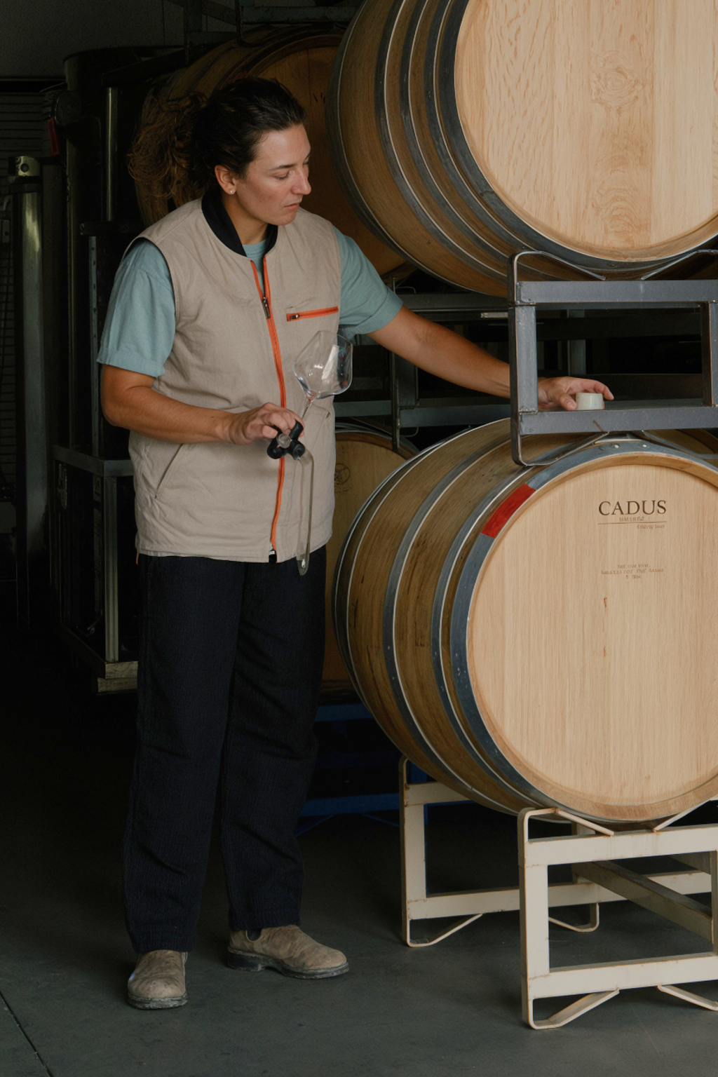 Person in a winery examining wine barrels with a Cadus brand label.